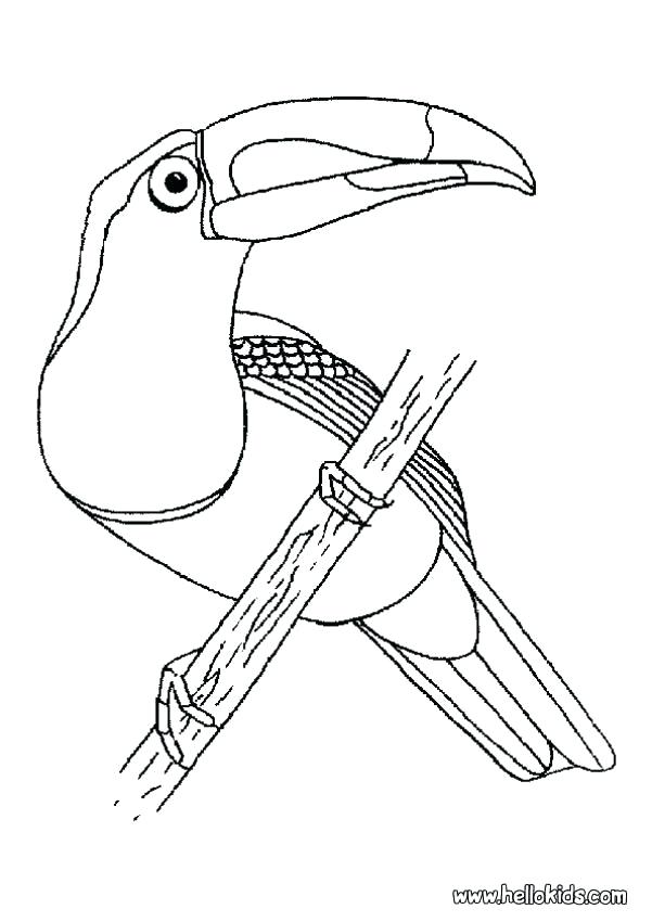 601x850 Realistic Bird Coloring Pages Coloring Pages Of Birds Realistic