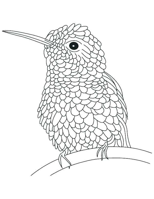 630x810 Realistic Bird Coloring Pages Owls Hard Coloring Page Free Pages