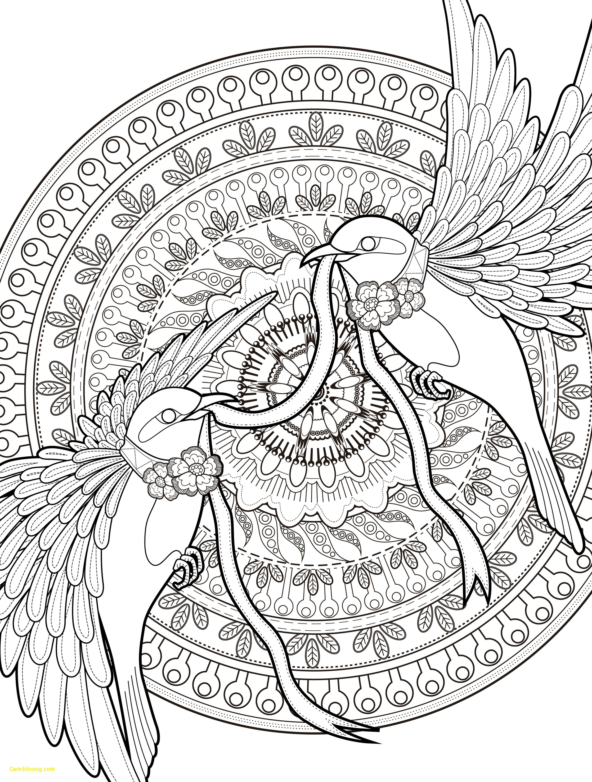 2500x3300 Bird Coloring Pages For Adults Stunning Wallpapers Free Online