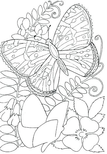 366x525 Hard Flower Coloring Pages Perfect Hard Flower Coloring Pages Hard