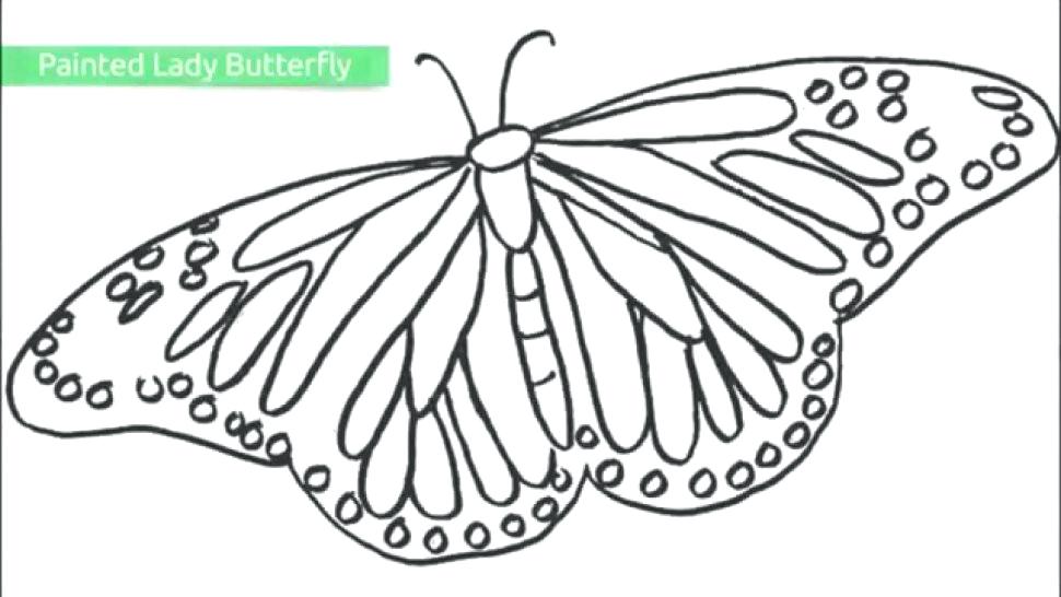 970x546 Unique Butterfly Coloring Pages For Kids For Adult Difficult Big