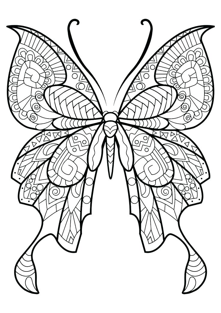 736x1040 Beautiful Butterfly Coloring Pages Butterfly Coloring Pages Cute