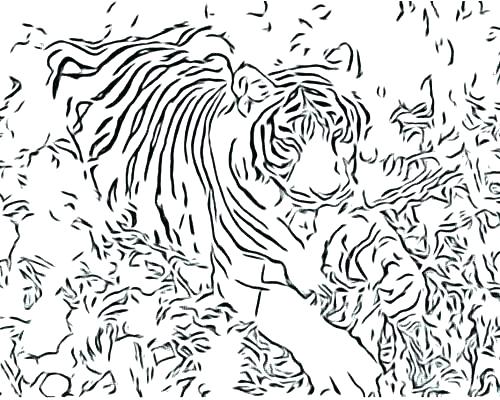 500x400 Coloring Page Hard Wild Animal Tiger Big Cats Coloring Pages Snow