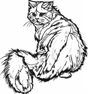 281x300 Hard Cat Coloring Pages