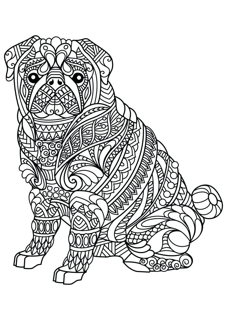 736x1040 Cat And Dog Coloring Pages