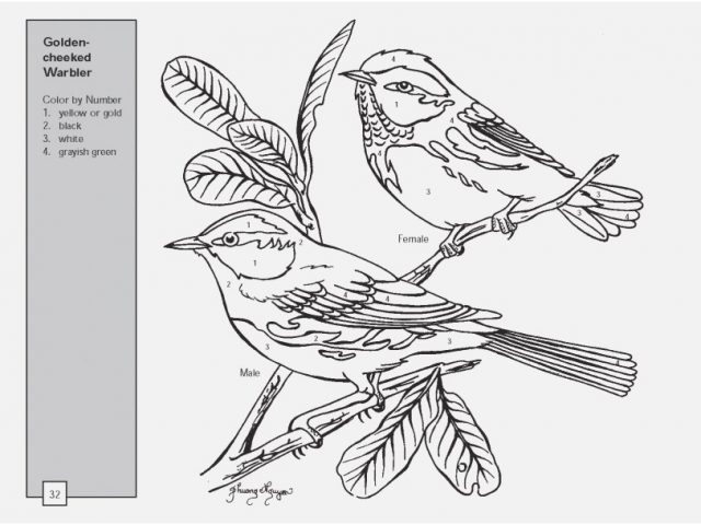 640x480 Images Of Color