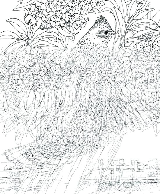 550x667 Difficult Coloring Pages Hard Coloring Pages To Print Hard