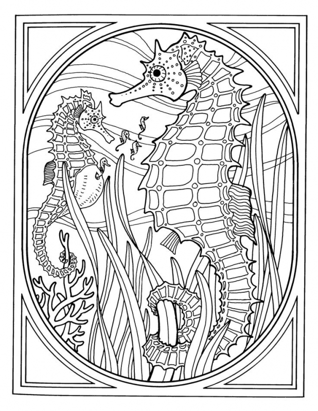 618x800 Detailed Realistic Seahorse Hard Coloring Pages For Grown Ups