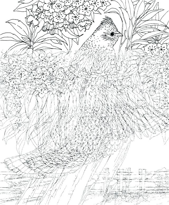 640x776 Cool Coloring Pages Older Kids Printable Coloring Pages