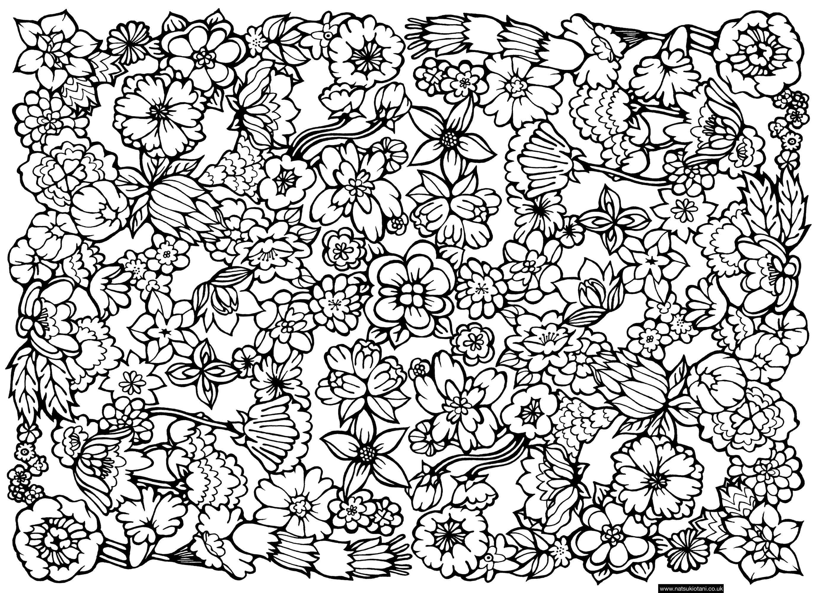 2749x2000 Unbelievable Flower Pattern Coloring Page With Hard Coloring Pages