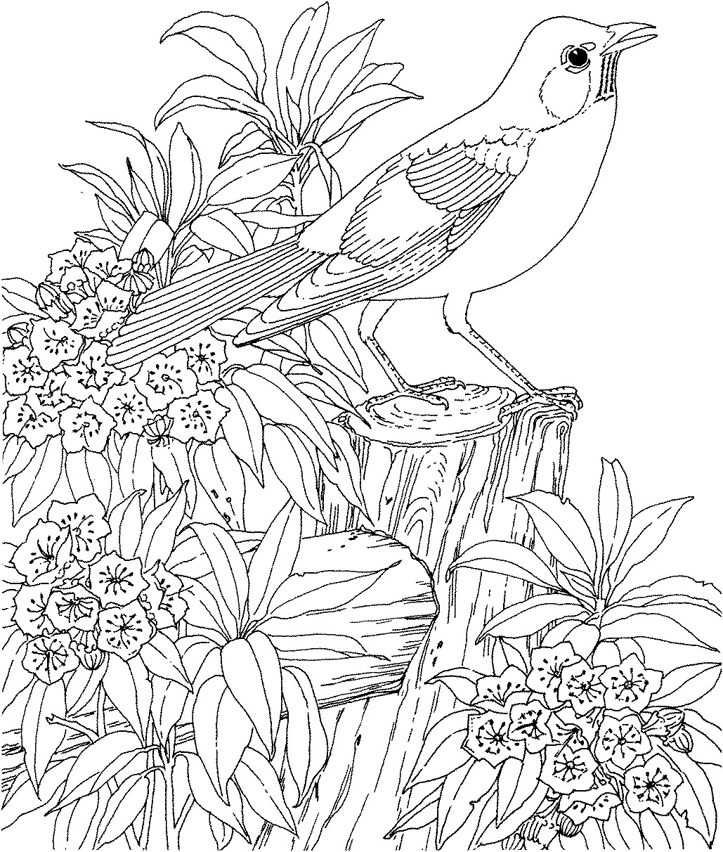 1029x1212 Coloring Pages For Teenagers