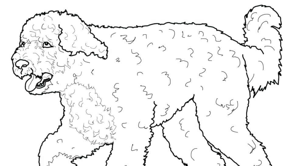 960x544 Dog Coloring Pages That You Can Print Adults Page Pages Hard Cute