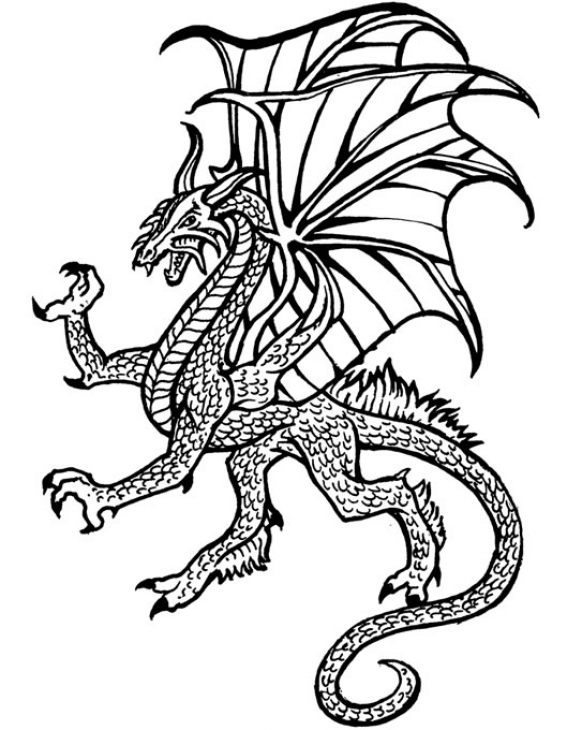 567x730 Hard Dragon Coloring Pages