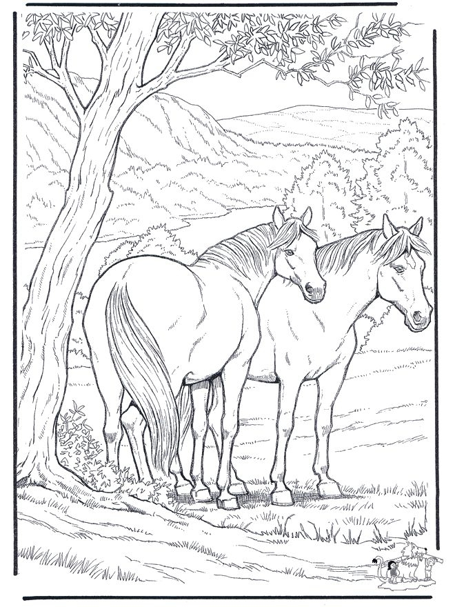 660x880 Coloring Pages Of Horses Hard