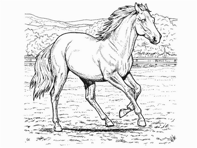 642x482 Hard Horse Coloring Pages