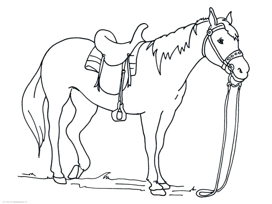 878x659 Wolf Coloring Pages Hard Outstanding Pictures Of Horses To Print