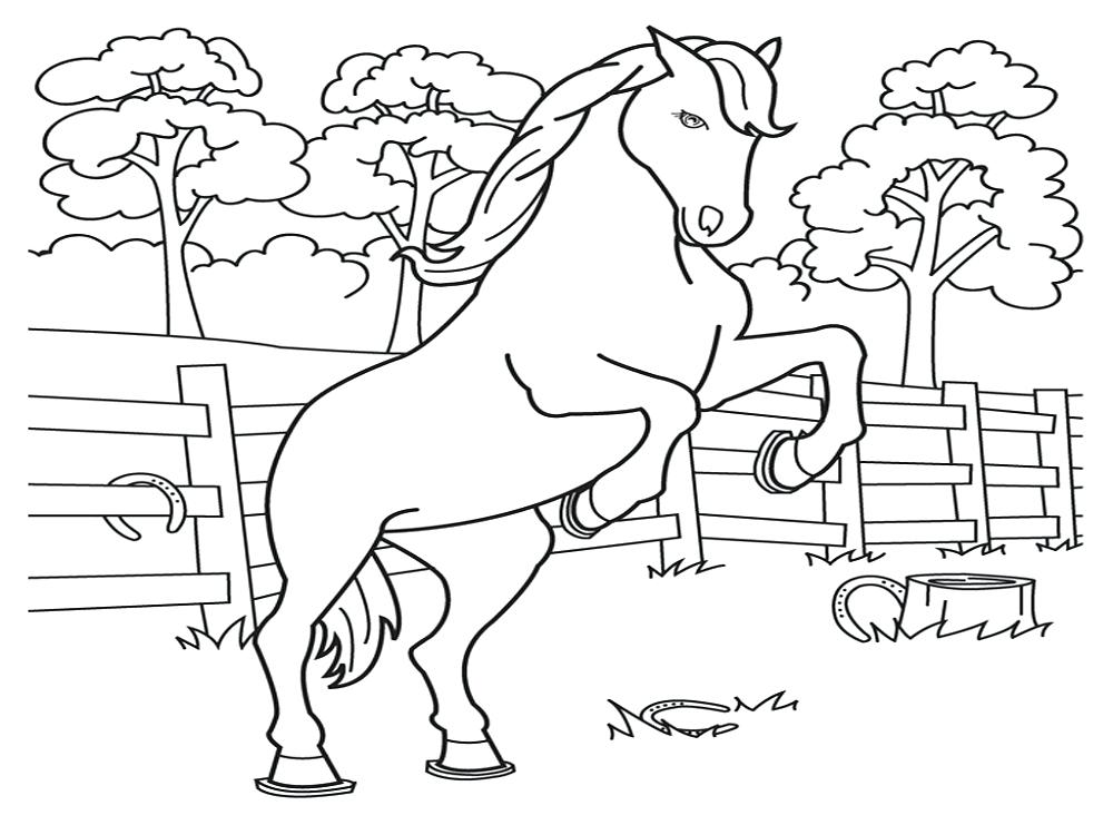 1000x750 Coloring Pages For Kids Spring Horse Girls Page Free Horses Online