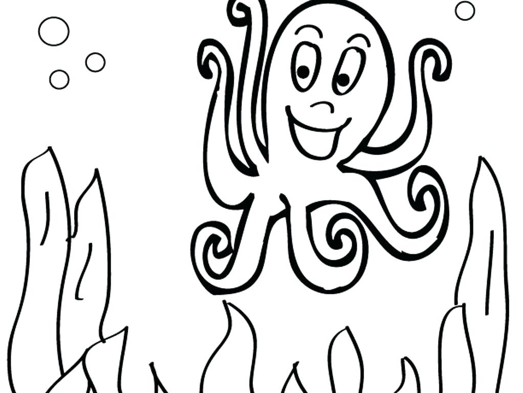 1022x768 O Coloring Page Words From O Alphabet Of Coloring Pages