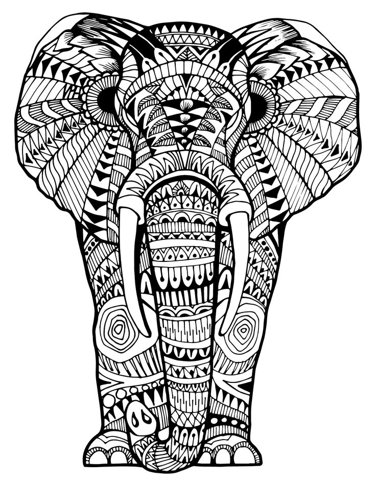 736x952 Best Colouring Elephants Zentangles Images