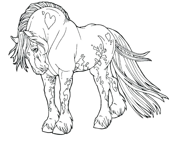 720x598 Coloring Beautiful Horse Coloring Pages For Adults The Wonderful