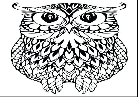 476x333 Hard Hat Coloring Page Image Images Adult Coloring Medium Size Owl
