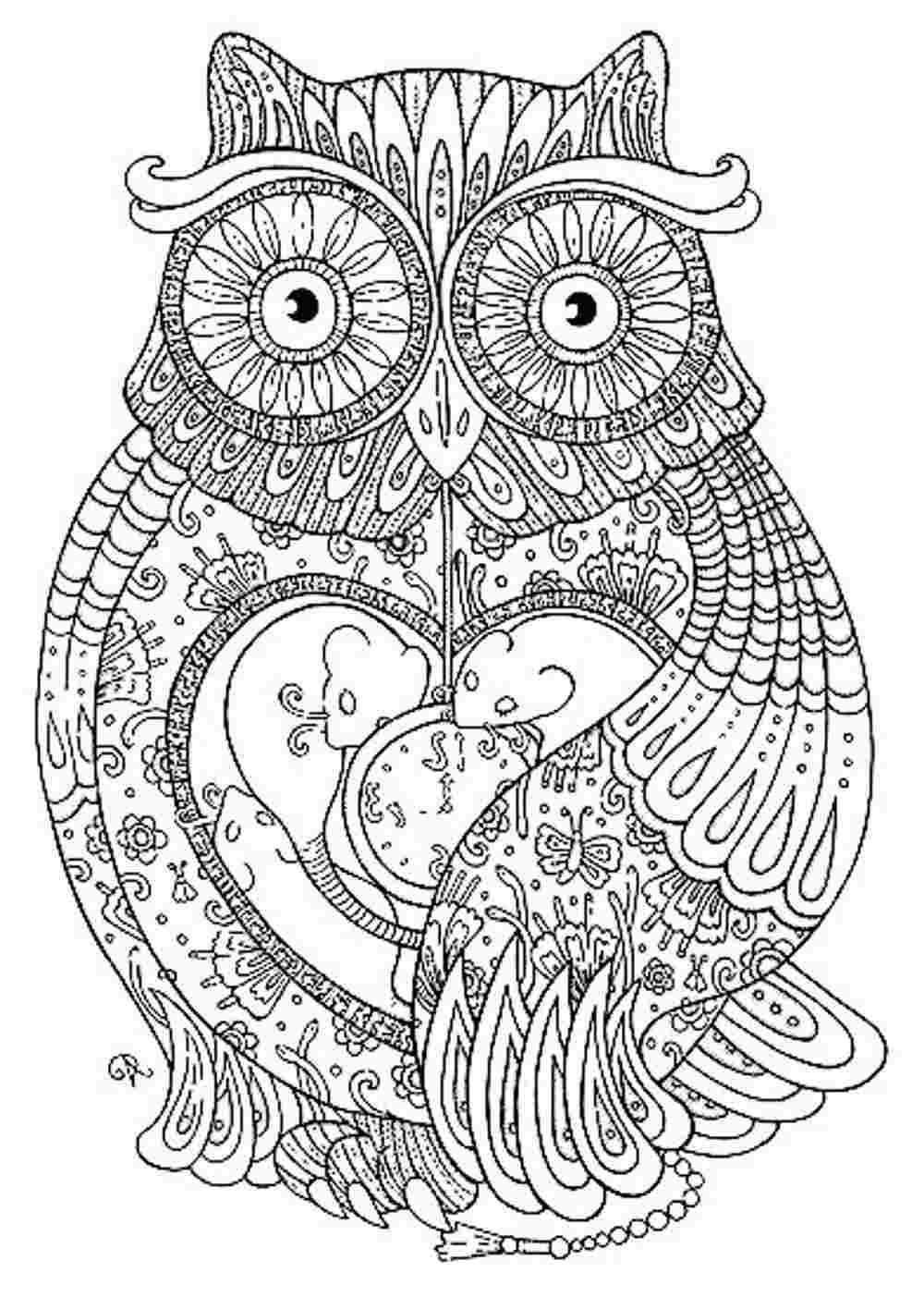Hard Owl Coloring Pages at GetDrawings | Free download