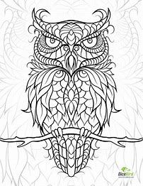 202x262 Image Result For Hard Owl Coloring Pages Owl Design