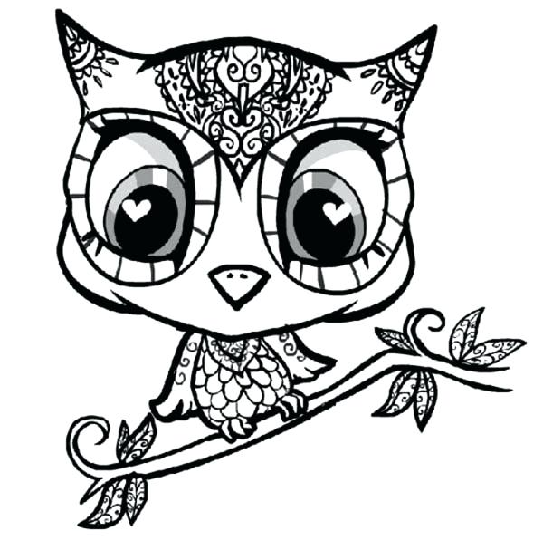 600x607 Owl Color Pages Hard Owl Coloring Pages Cute Owl Color Pages