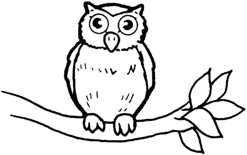 1024x643 Owl Colouring Pages Limited Owl Color Sheets Coloring Of Owls