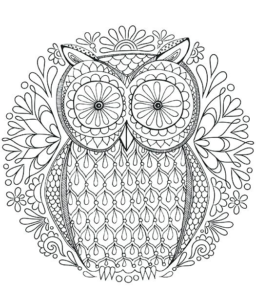525x618 Owls Coloring Pages Coloring Page Owl Difficult Owl Coloring Pages