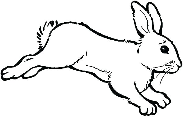 600x383 Coloring Page Of A Rabbit Animal Coloring Pages Rabbit