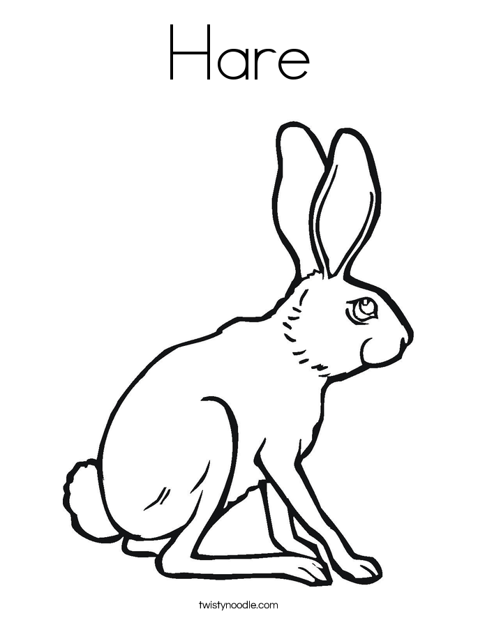 685x886 Hare Coloring Page