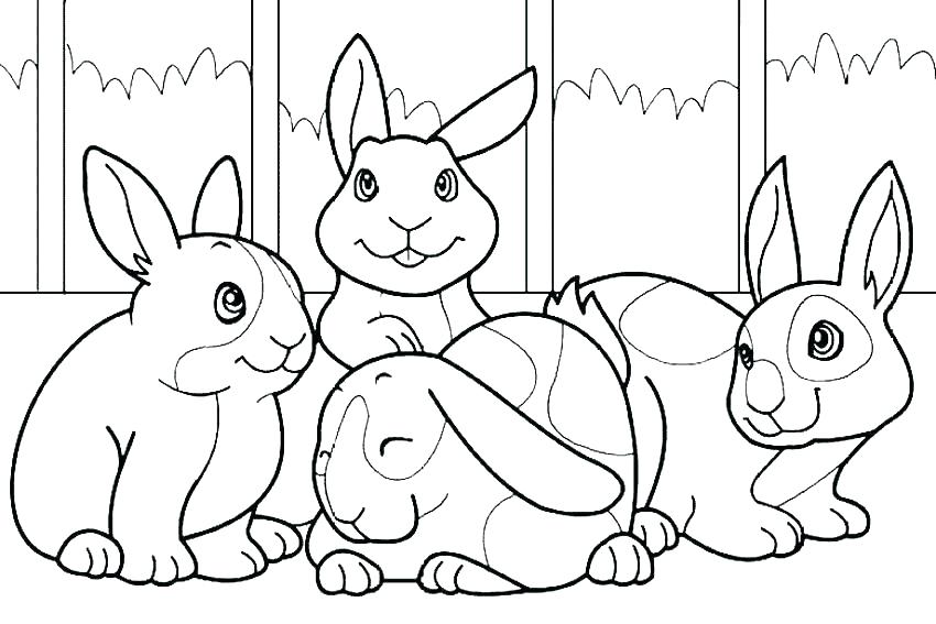 850x567 Peter Rabbit Color Pages Print Peter Rabbit Lily Coloring Pages