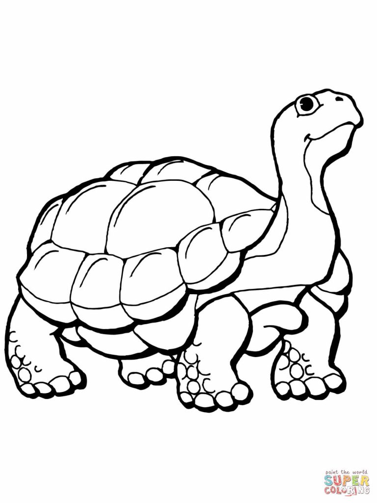 768x1024 Rare Hare Tortoise Coloring Pages Page
