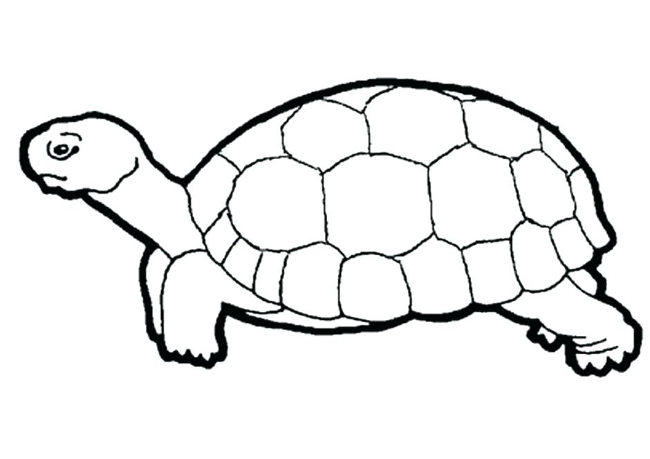 940x664 Tortoise Coloring Page Hare Tortoise Coloring Pages Images