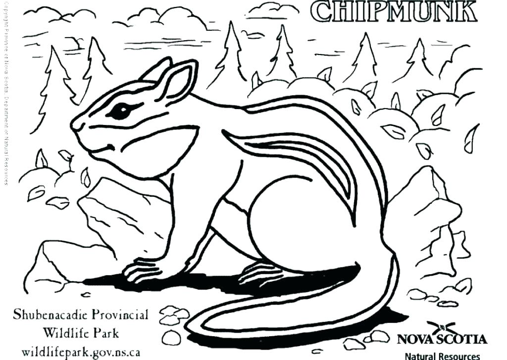 1024x726 Alvin And The Chipmunks Coloring Pages Pdf Vanda