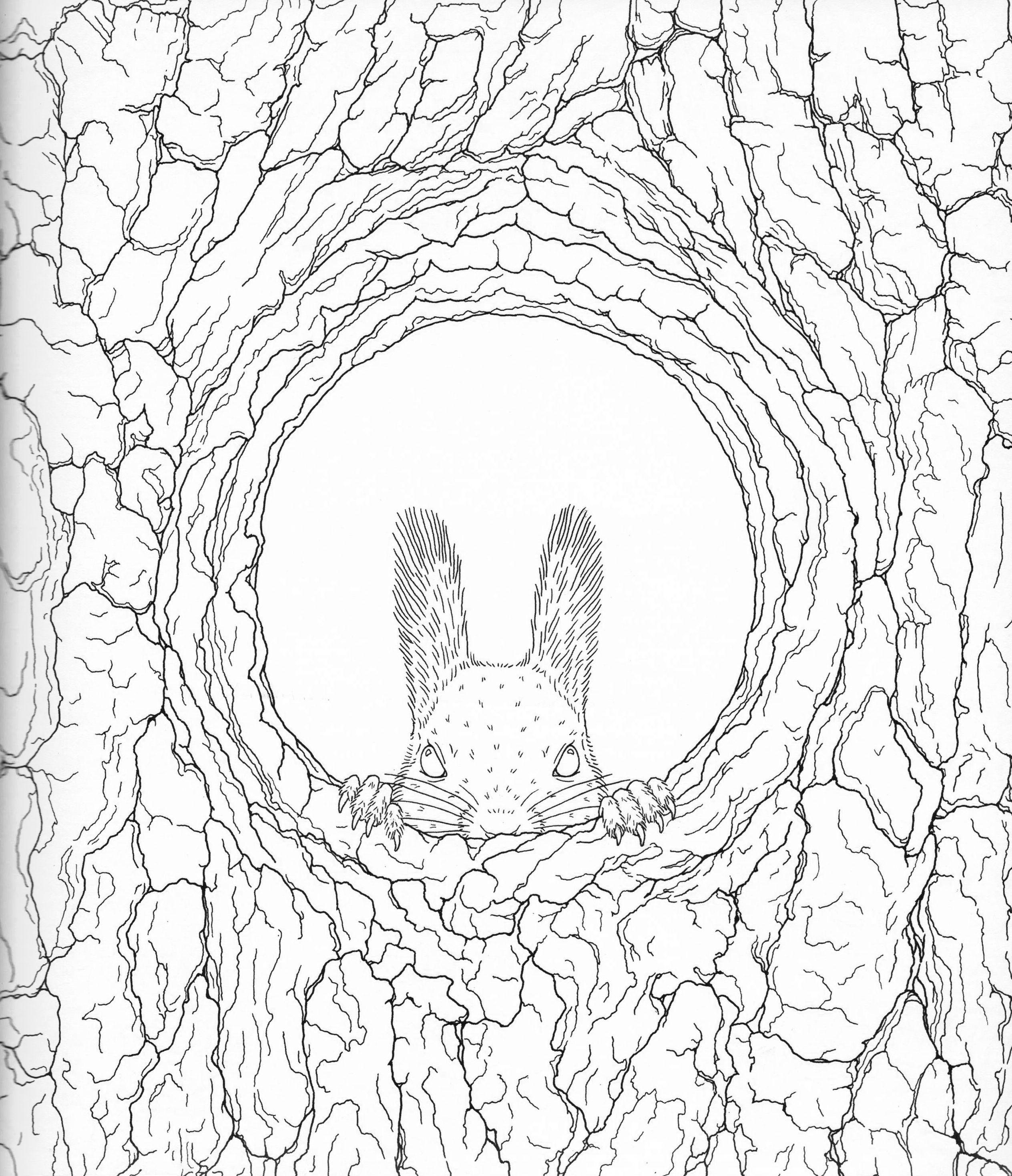 2528x2937 Harmony Of Nature Adult Coloring Book Pg Color Pages