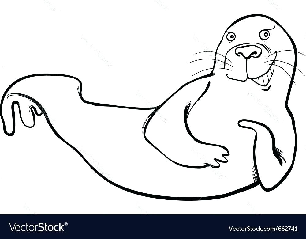 Harp Seal Coloring Page at GetDrawings | Free download