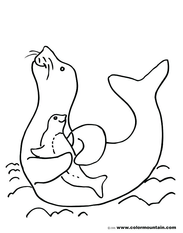 615x784 Seal Coloring Page Seal Coloring Page Pretty Seal Coloring Pages