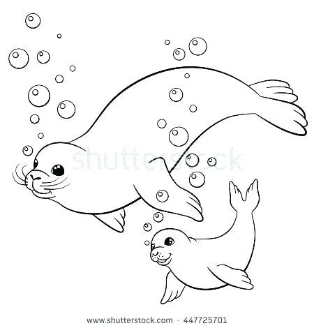 450x470 Baby Seal Coloring Pages Harp Seal Coloring Pages Coloring Pages