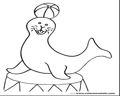 400x322 Baby Seal Coloring Pages Seal Coloring Page Coloring Pages Color