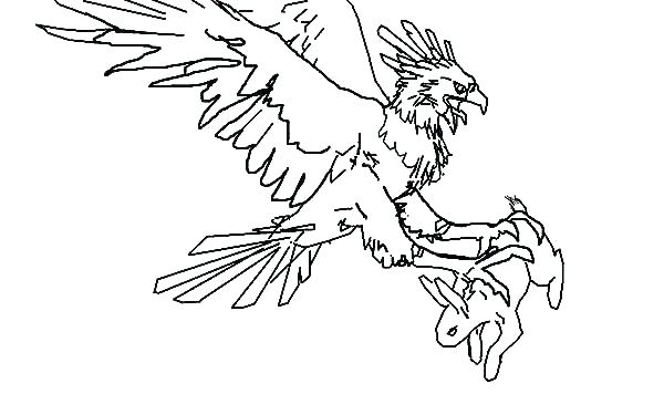 600x356 Eagle Coloring Page Golden Eagle Coloring Page Free American Eagle