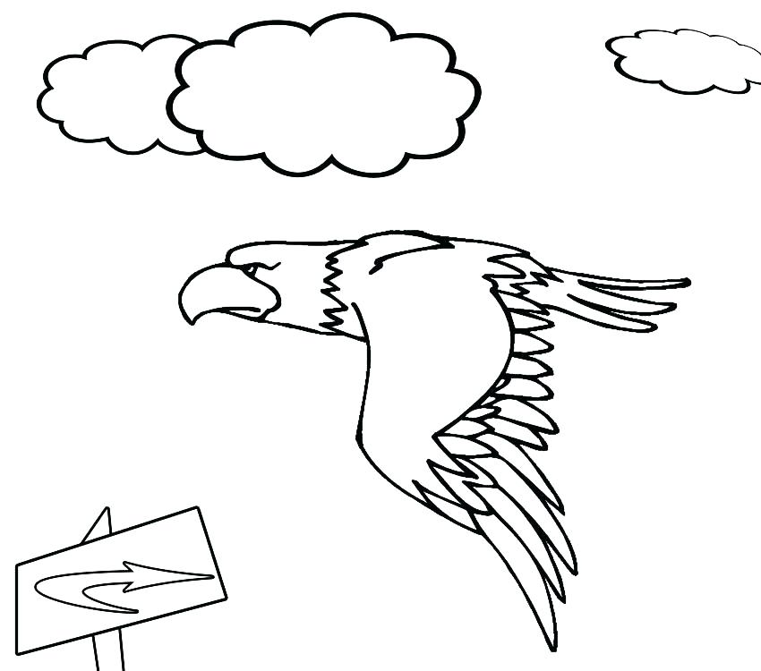 850x750 Harpy Eagle Coloring Page Harpy Eagle Coloring Page Bald Eagle