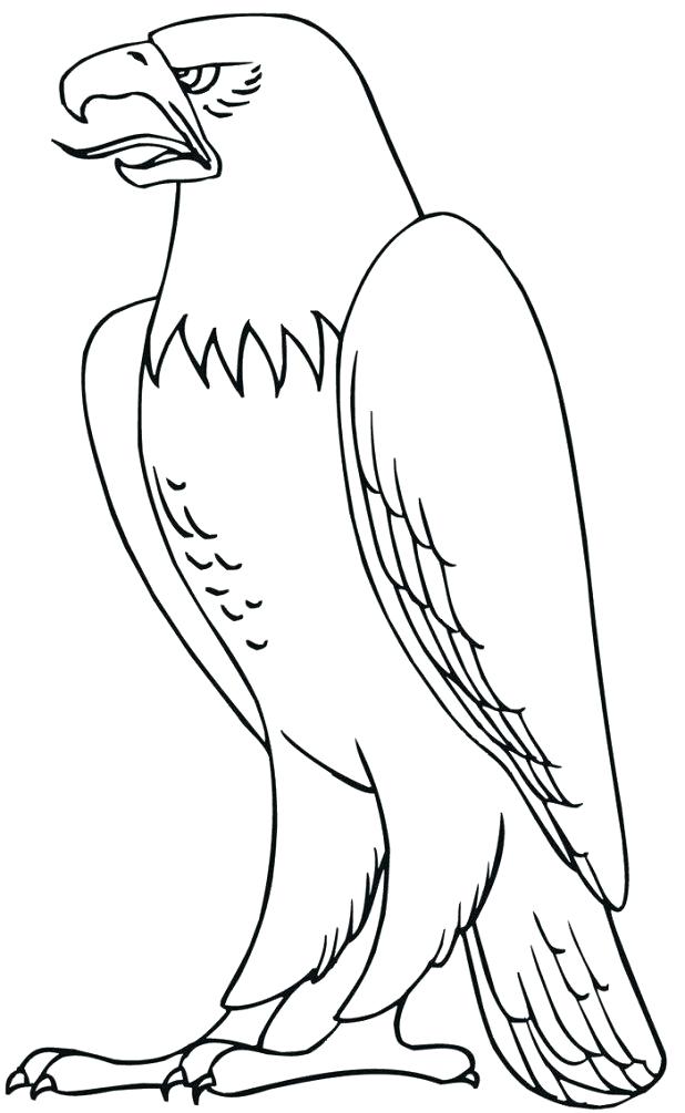 618x1005 Harpy Eagle Coloring Page Harpy Eagle Coloring Sheet See More