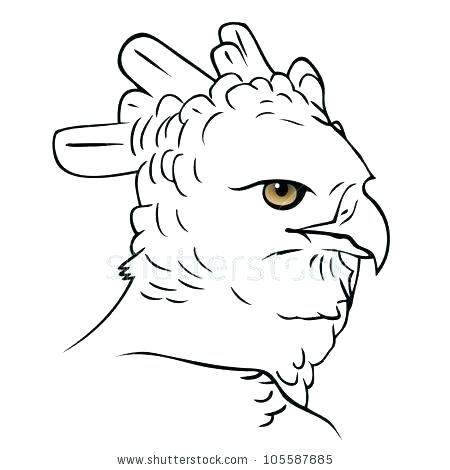 450x470 La Befana Coloring Page Harpy Eagle Coloring Page Harpy Eagle
