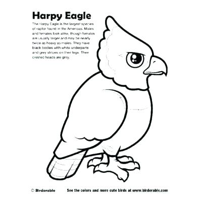 400x400 Harpy Eagle Coloring Page