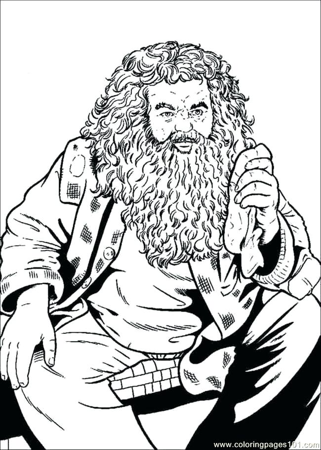 650x910 Harry Potter Coloring Page Coloring Pages Of Harry Potter