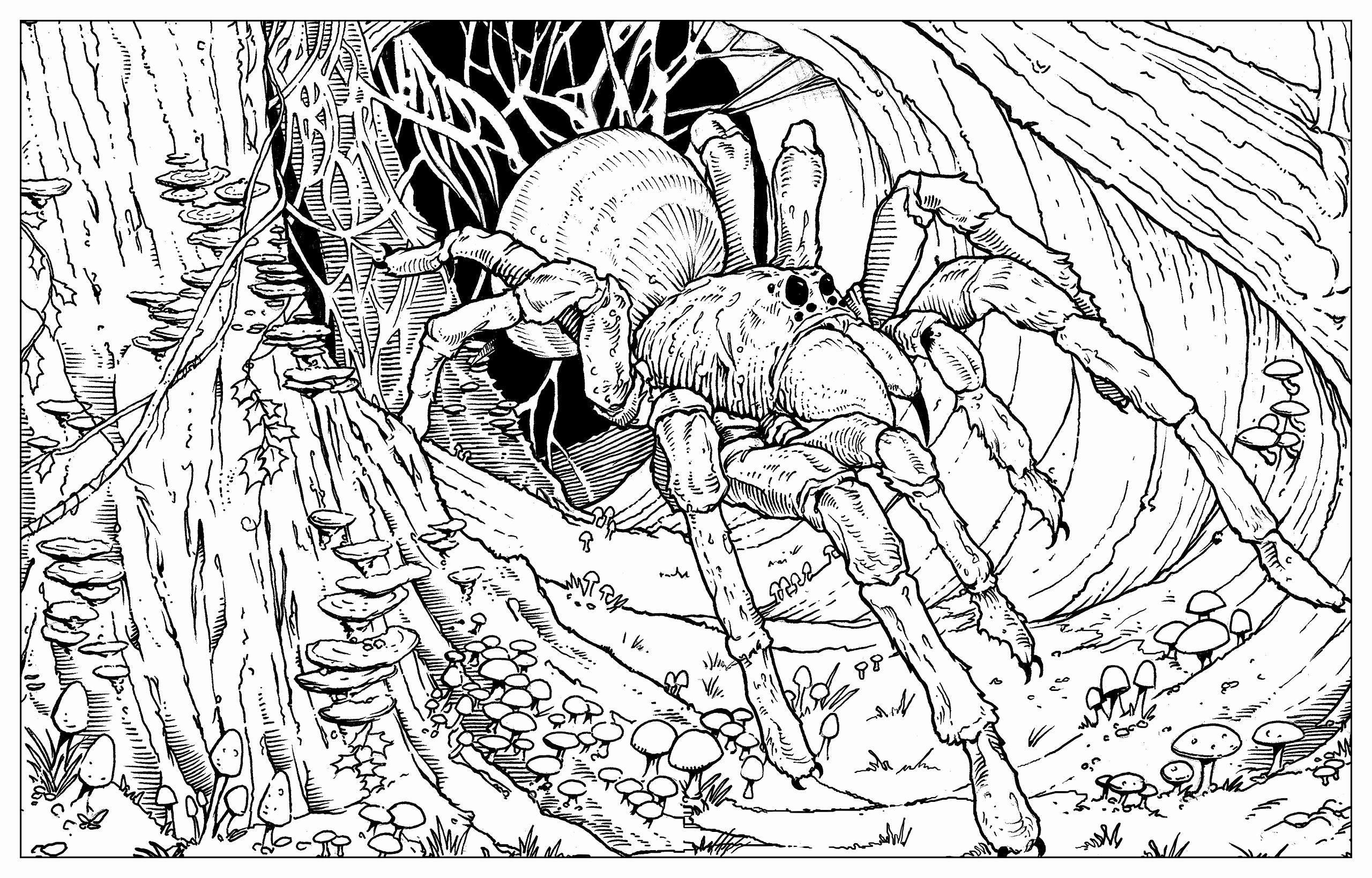 2560x1638 Harry Potter Coloring Pages Hogwarts Crest Best Of Harry Potter