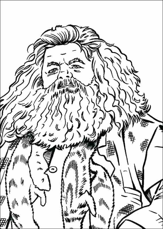 569x796 Harry Potter Coloring Pages Harry Potter Coloring Page Harry