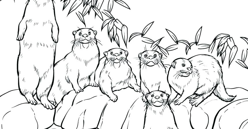 860x450 Otter Coloring Page Click The Otter Coloring Pages River Otter